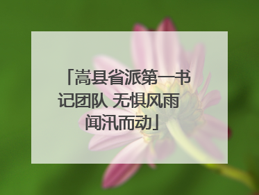 嵩县省派第一书记团队 无惧风雨 闻汛而动