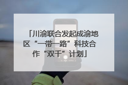 川渝联合发起成渝地区“一带一路”科技合作“双千”计划