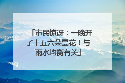 市民惊讶：一晚开了十五六朵昙花！与雨水均衡有关