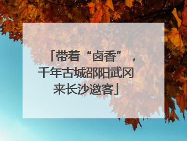 带着“卤香”，千年古城邵阳武冈来长沙邀客
