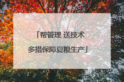 帮管理 送技术 多措保障夏粮生产