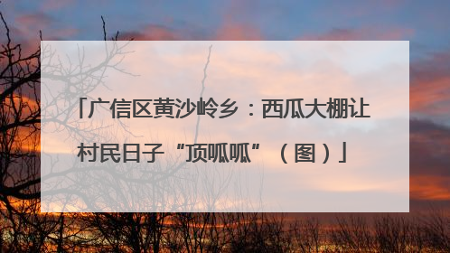 广信区黄沙岭乡：西瓜大棚让村民日子“顶呱呱”（图）