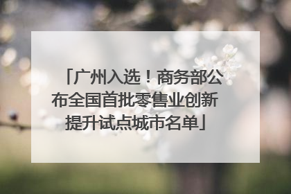广州入选！商务部公布全国首批零售业创新提升试点城市名单