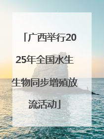 广西举行2025年全国水生生物同步增殖放流活动