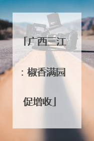广西三江：椒香满园促增收
