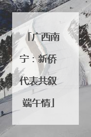 广西南宁：新侨代表共叙端午情