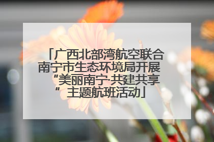 广西北部湾航空联合南宁市生态环境局开展“美丽南宁·共建共享”主题航班活动