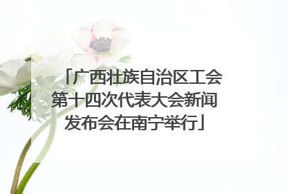 广西壮族自治区工会第十四次代表大会新闻发布会在南宁举行