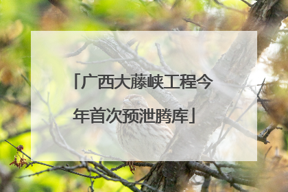 广西大藤峡工程今年首次预泄腾库
