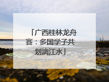 广西桂林龙舟赛：多国学子共划漓江水
