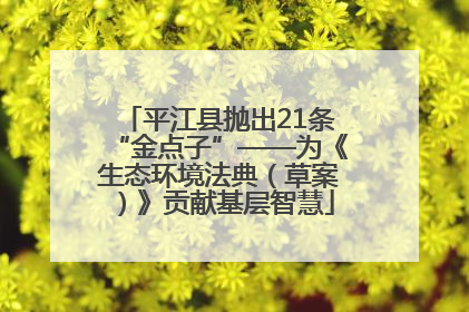 平江县抛出21条“金点子”——为《生态环境法典（草案）》贡献基层智慧