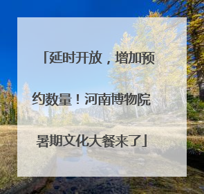 延时开放，增加预约数量！河南博物院暑期文化大餐来了