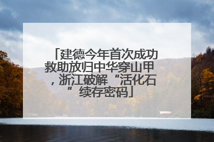 建德今年首次成功救助放归中华穿山甲，浙江破解“活化石”续存密码