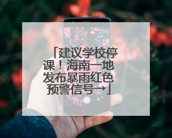 建议学校停课！海南一地发布暴雨红色预警信号→