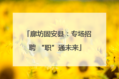 廊坊固安县：专场招聘 “职”通未来