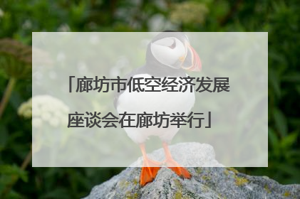 廊坊市低空经济发展座谈会在廊坊举行