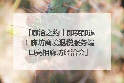 廊洽之约丨即买即退！廊坊离境退税服务端口亮相廊坊经洽会