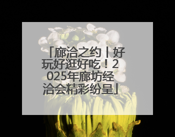 廊洽之约丨好玩好逛好吃！2025年廊坊经洽会精彩纷呈
