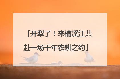 开犁了！来楠溪江共赴一场千年农耕之约