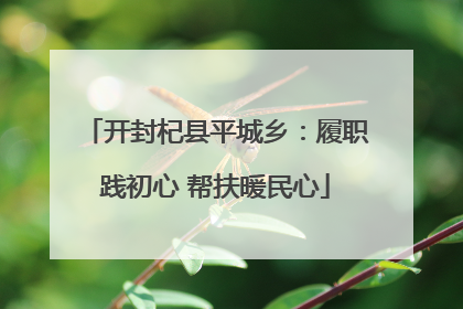 开封杞县平城乡：履职践初心 帮扶暖民心