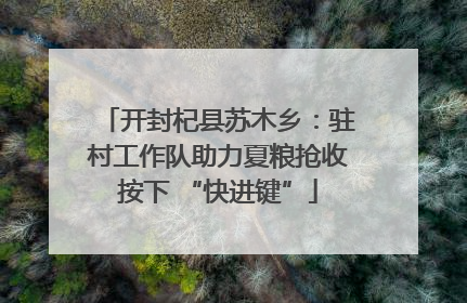 开封杞县苏木乡：驻村工作队助力夏粮抢收按下 “快进键”