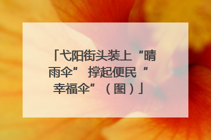 弋阳街头装上“晴雨伞” 撑起便民“幸福伞”（图）