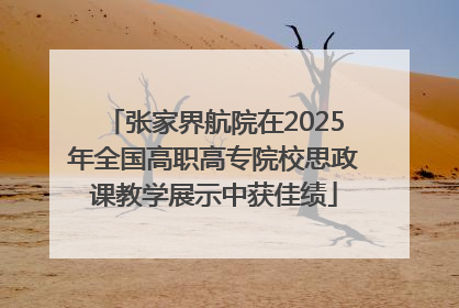 张家界航院在2025年全国高职高专院校思政课教学展示中获佳绩