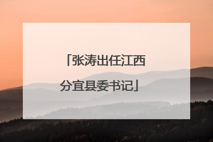 张涛出任江西分宜县委书记