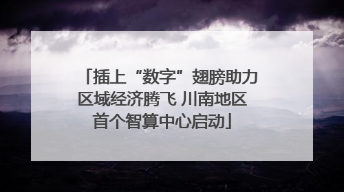 插上“数字”翅膀助力区域经济腾飞 川南地区首个智算中心启动