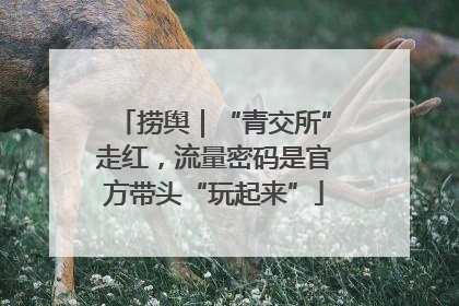捞舆｜“青交所”走红，流量密码是官方带头“玩起来”