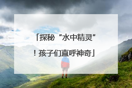 探秘“水中精灵”！孩子们直呼神奇