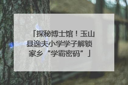 探秘博士馆！玉山县逸夫小学学子解锁家乡“学霸密码”