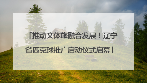 推动文体旅融合发展！辽宁省匹克球推广启动仪式启幕