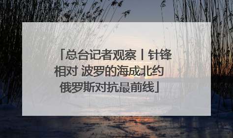 总台记者观察丨针锋相对 波罗的海成北约俄罗斯对抗最前线