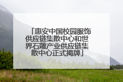 惠安中国校园服饰供应链集散中心和世界石雕产业供应链集散中心正式揭牌