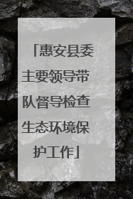 惠安县委主要领导带队督导检查生态环境保护工作