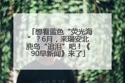 想看蓝色“荧光海”？6月，来瑞安北麂岛“追泪”吧！《90早新闻》来了