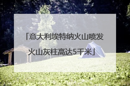 意大利埃特纳火山喷发 火山灰柱高达5千米