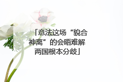 意法这场“貌合神离”的会晤难解两国根本分歧