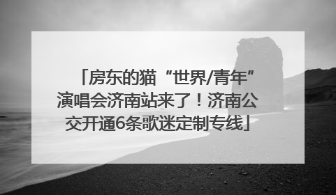 房东的猫“世界/青年”演唱会济南站来了！济南公交开通6条歌迷定制专线