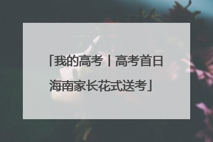 我的高考丨高考首日 海南家长花式送考