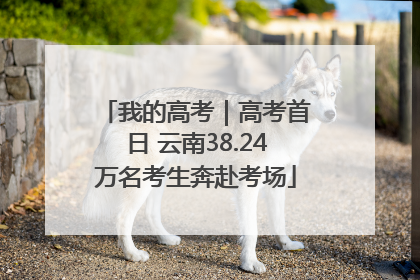 我的高考｜高考首日 云南38.24万名考生奔赴考场