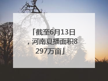 截至6月13日，河南夏播面积8297万亩