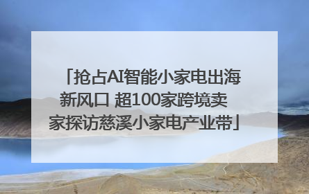 抢占AI智能小家电出海新风口 超100家跨境卖家探访慈溪小家电产业带
