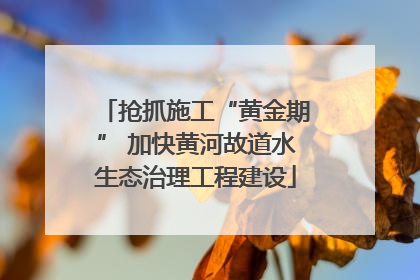 抢抓施工“黄金期” 加快黄河故道水生态治理工程建设