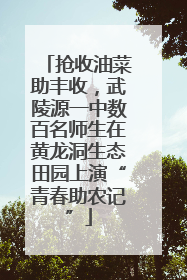 抢收油菜助丰收，武陵源一中数百名师生在黄龙洞生态田园上演“青春助农记”