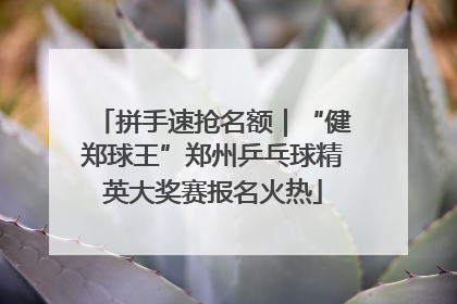 拼手速抢名额｜“健郑球王”郑州乒乓球精英大奖赛报名火热