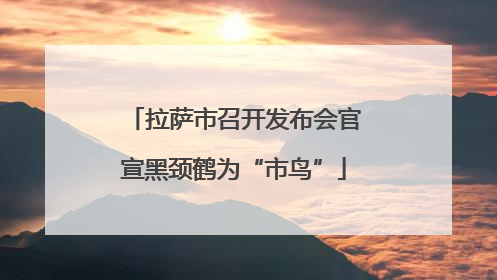 拉萨市召开发布会官宣黑颈鹤为“市鸟”