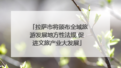 拉萨市将颁布全域旅游发展地方性法规 促进文旅产业大发展