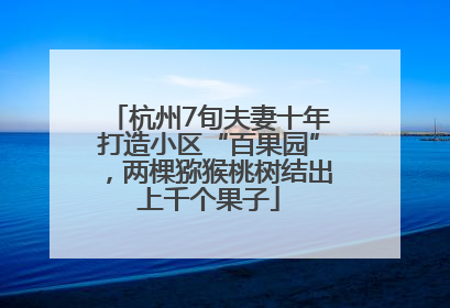 杭州7旬夫妻十年打造小区“百果园”，两棵猕猴桃树结出上千个果子